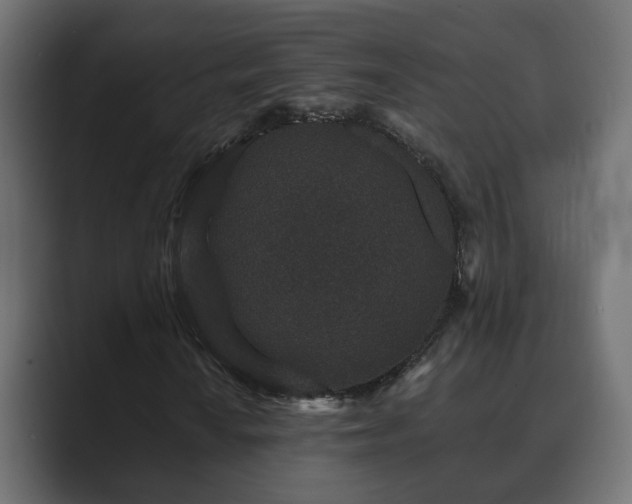 X0000089661010200706281317