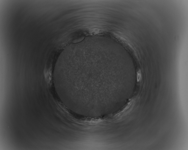 X0000089661011200706281317