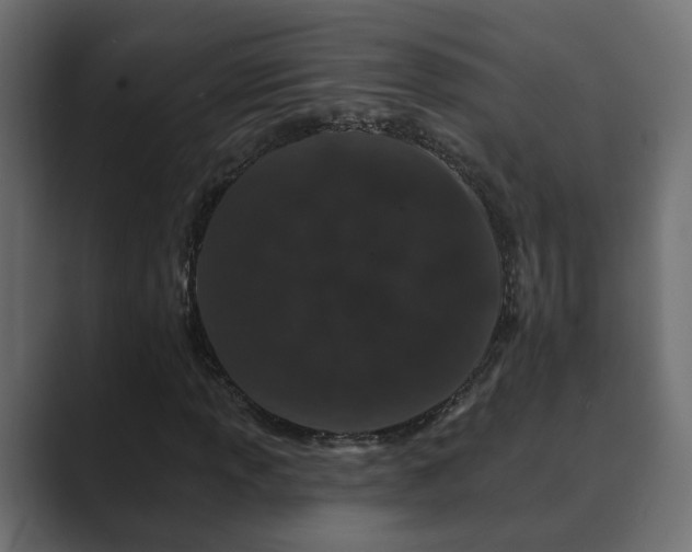 X0000089661013200706281317