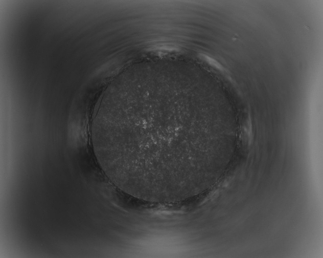 X0000089661014200706281317