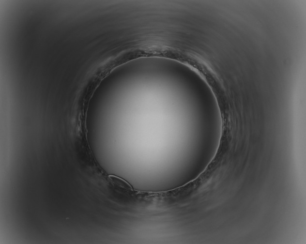X0000089661016200706281317
