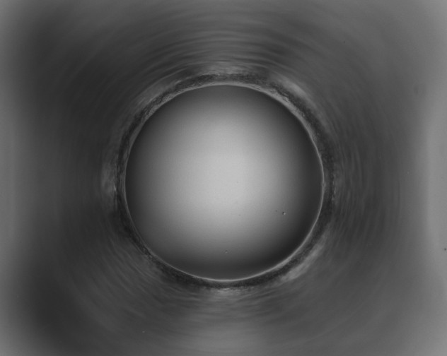 X0000089661017200706281317