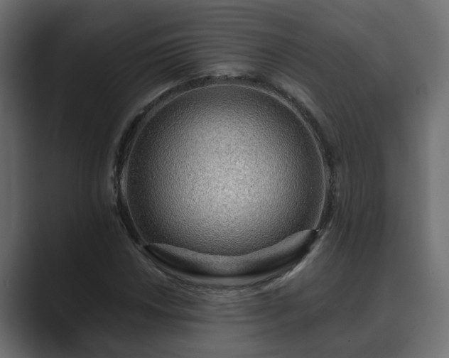 X0000089661018200706281317