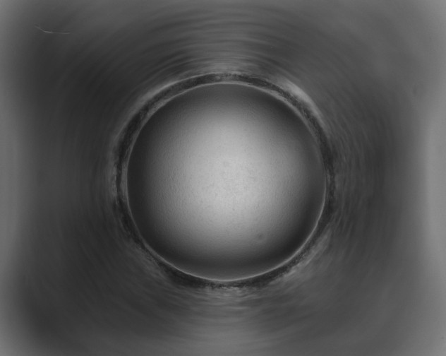 X0000089661019200706281317