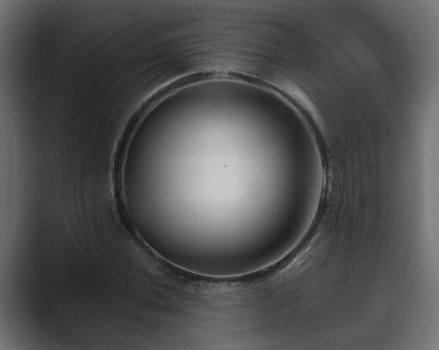 X0000089661020200706281317