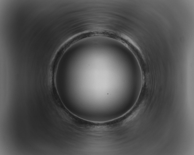 X0000089661021200706281317