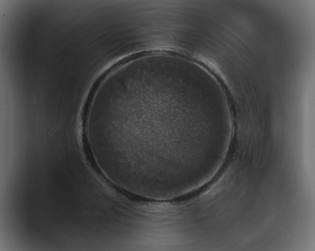 X0000089661024200706281317