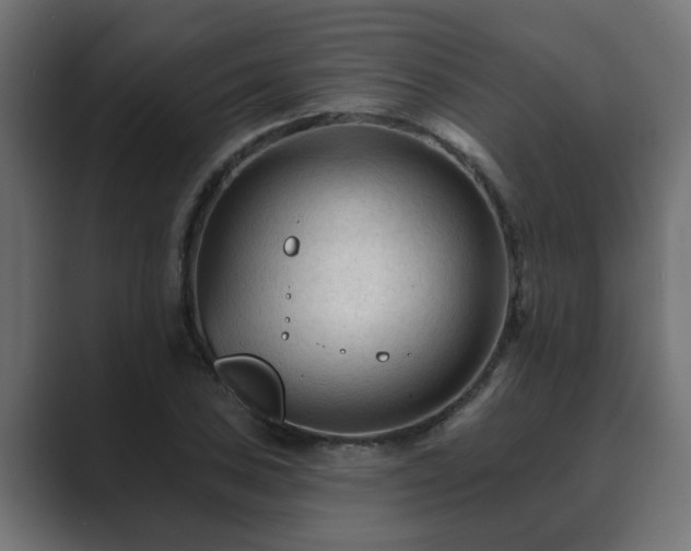 X0000089661027200706281317