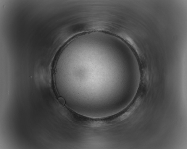 X0000089661031200706281317