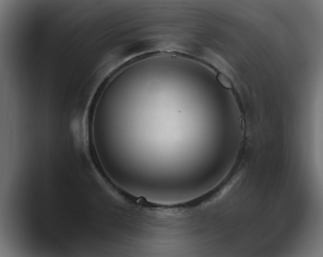 X0000089661032200706281317