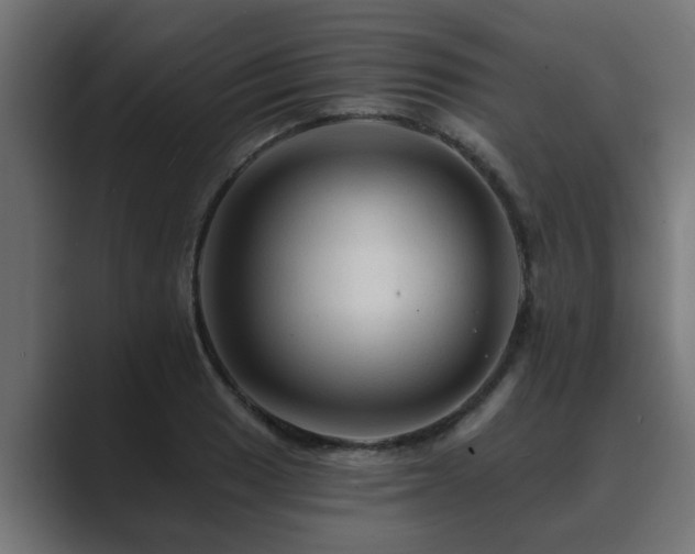 X0000089661033200706281317