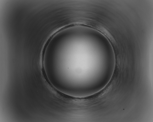 X0000089661036200706281317