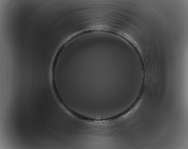 X0000089661037200706281317