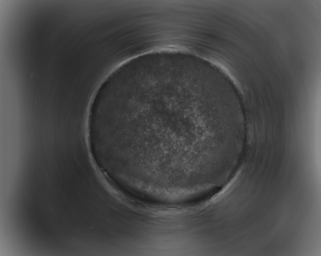 X0000089661038200706281317