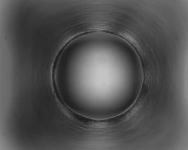 X0000089661039200706281317
