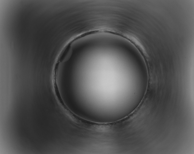 X0000089661040200706281317