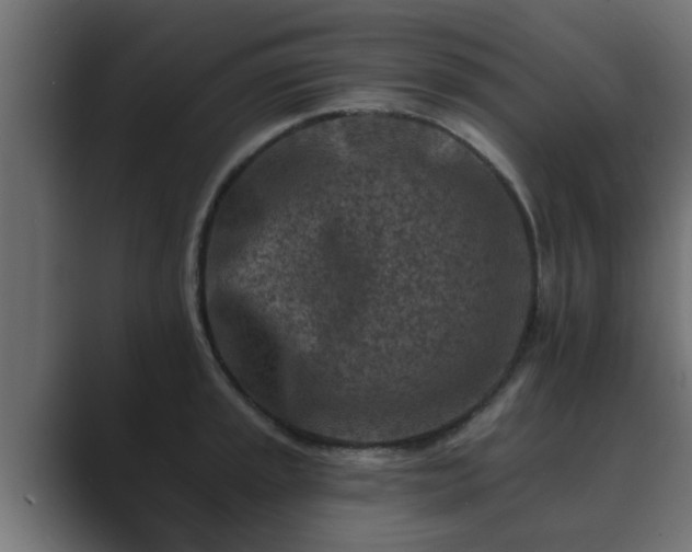 X0000089661045200706281318