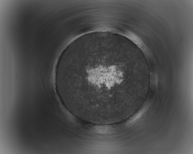 X0000089661046200706281318