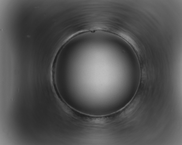 X0000089661047200706281318