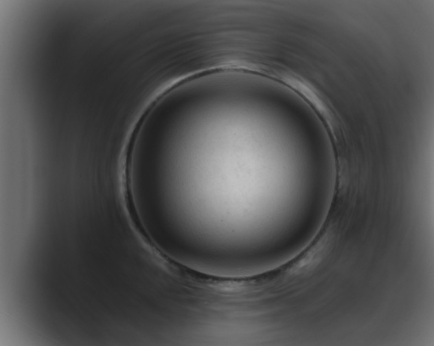 X0000089661048200706281318