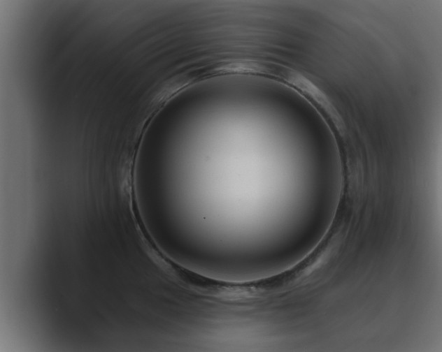 X0000089661049200706281318