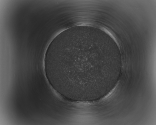 X0000089661050200706281318
