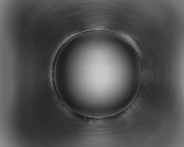 X0000089661051200706281318