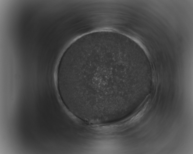 X0000089661054200706281318