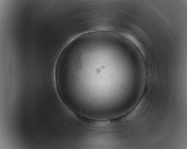X0000089661055200706281318