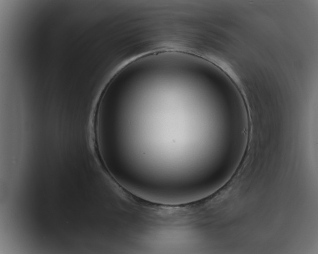 X0000089661056200706281318