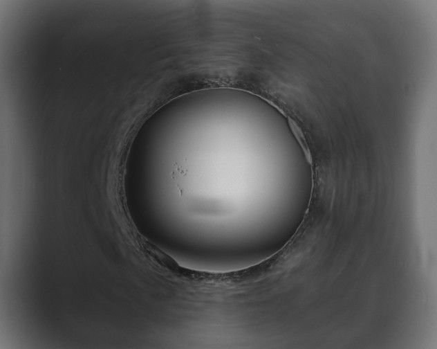 X0000089661057200706281317