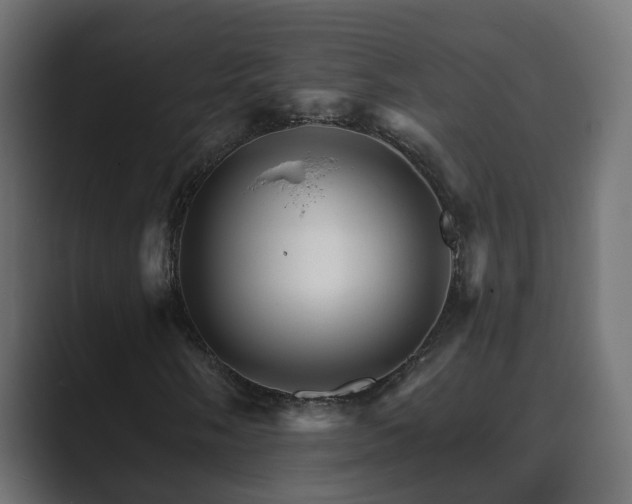 X0000089661058200706281317