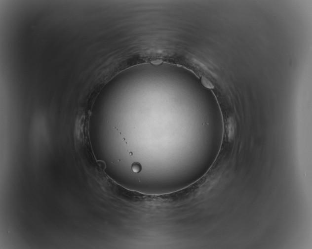 X0000089661059200706281317