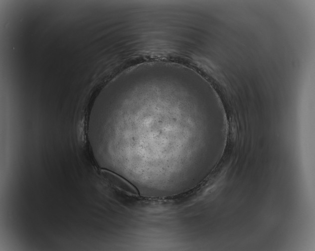 X0000089661060200706281317