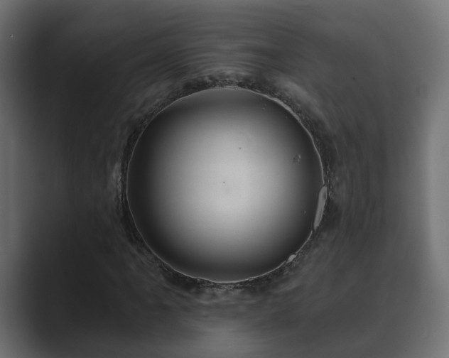 X0000089661061200706281317