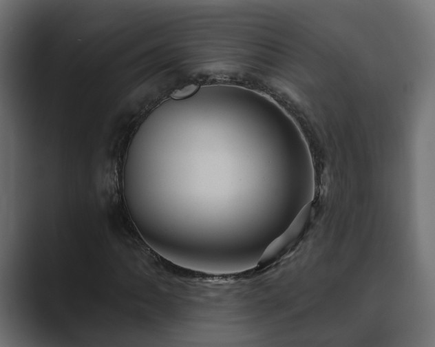 X0000089661062200706281317