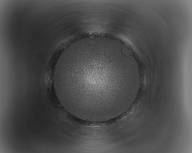 X0000089661063200706281317