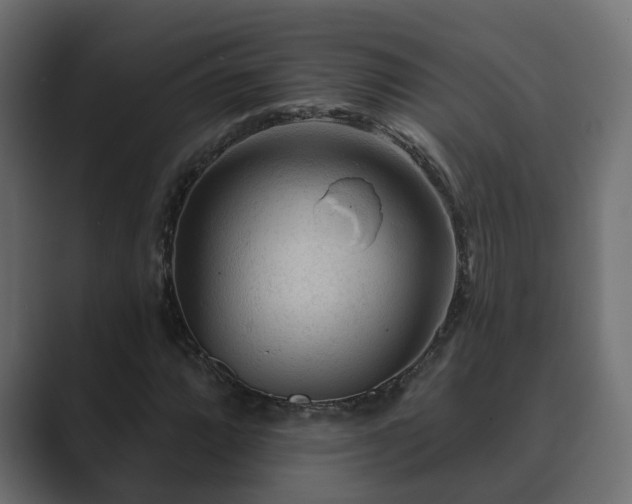X0000089661064200706281317