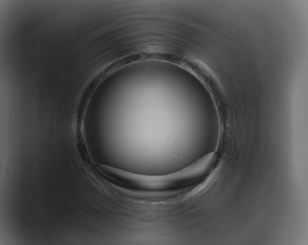 X0000089661065200706281317