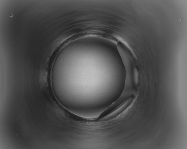 X0000089661066200706281317