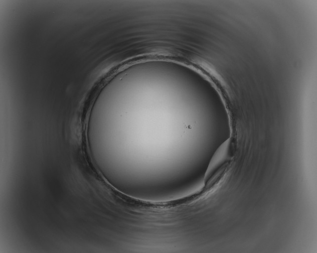 X0000089661067200706281317