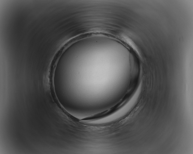 X0000089661068200706281317