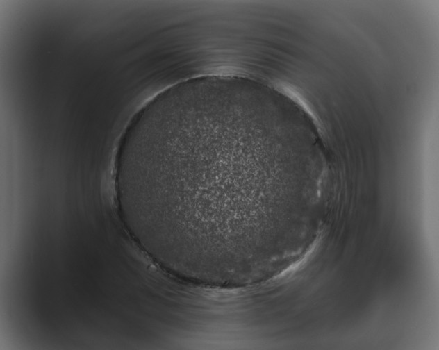 X0000089661071200706281317