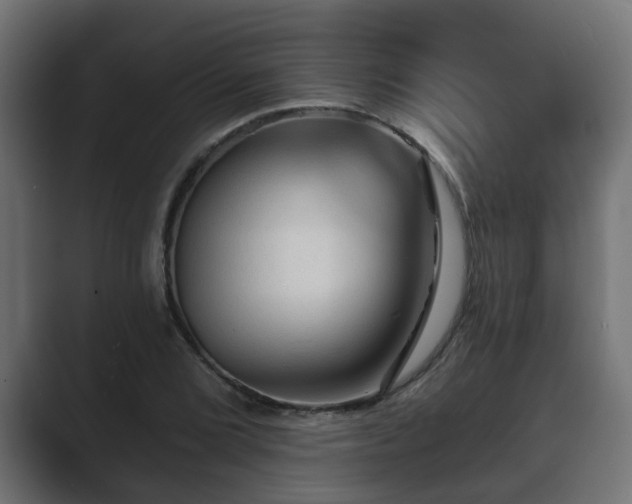 X0000089661072200706281317
