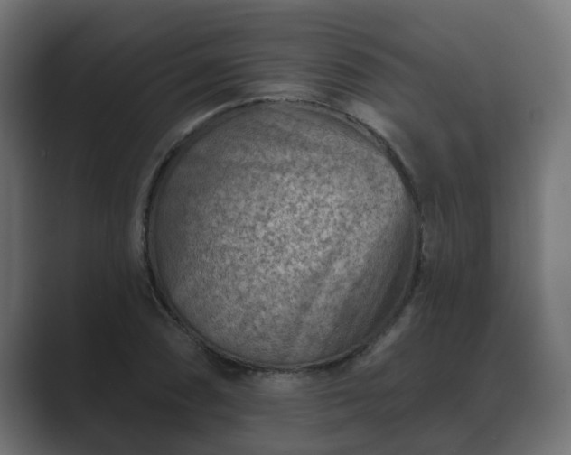 X0000089661074200706281317