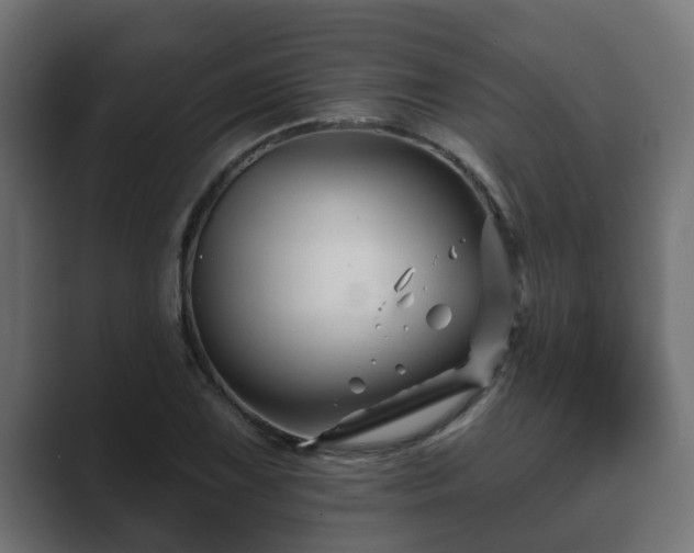 X0000089661075200706281317