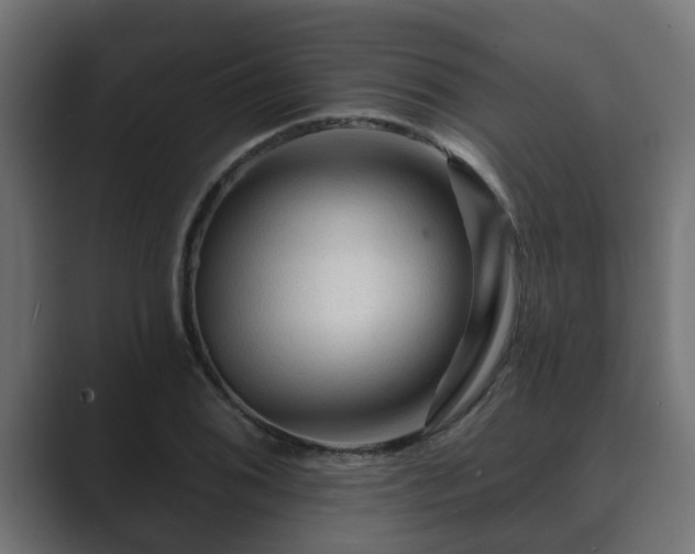 X0000089661076200706281317