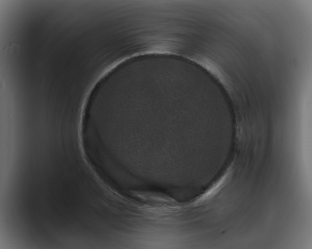 X0000089661077200706281317