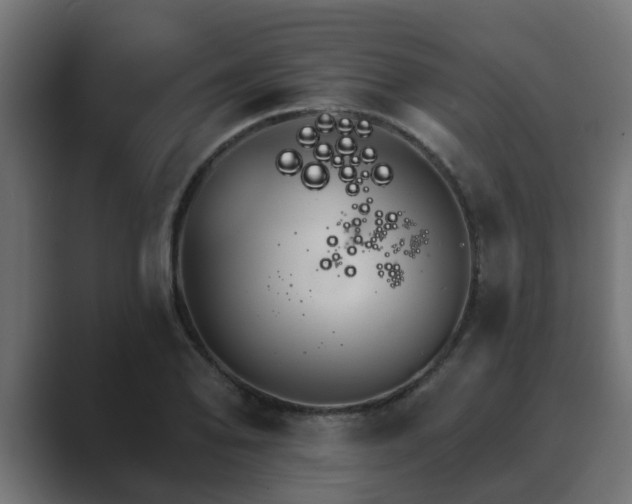 X0000089661078200706281317