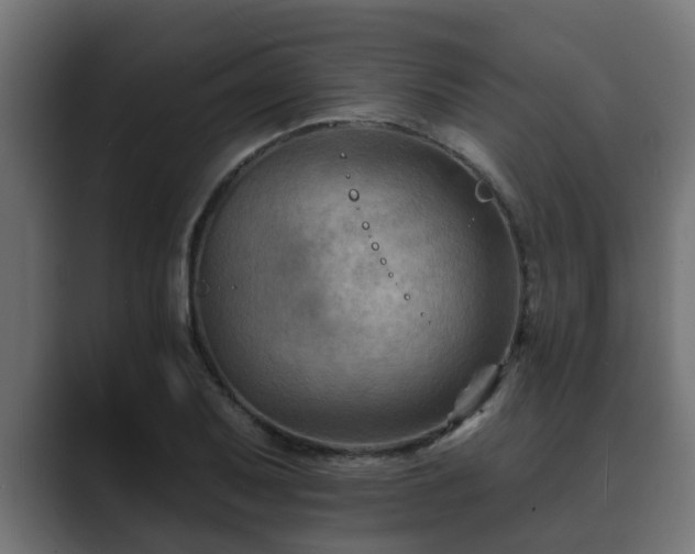 X0000089661079200706281317